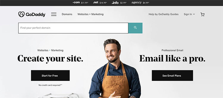 Godaddy Homepage